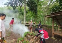 Mahasiswa KKNT UNIDA Bersama Warga Revitaliasi Waduk Selo Majid di Desa Krandegan, Ngawi