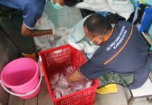 UMS Kembangkan Sistem Limbah Medis Plastik di RS PKU Karanganyar