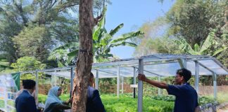 E-Mekanisasi UMS Dongkrak Produksi Hidroponik Petani Kliwonan hingga 2 Kali Lipat