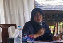 Revitalisasi Otak Jadi Kunci Kesehatan Jiwa