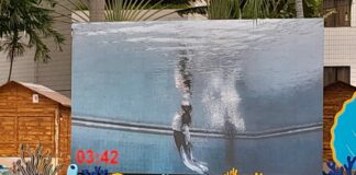 El John Pageants Hadirkan Wet Performance dalam Mermaid & Merman Indonesia 2026, Kolaborasi Apik di Momentum Hari Bumi