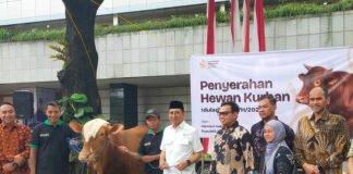 Serahkan 23 Ekor Sapi Kurban, Menbud Fadli Zon Ingatkan Iduladha Bukan Sekadar Ritual Keagamaan
