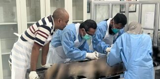 Workshop Bedah Cadaver FK UNIMMA Perkuat Pembelajaran Anatomi