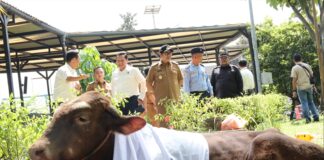 AirNav Indonesia Salurkan Puluhan Hewan Qurban untuk Masyarakat Tangerang