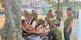 RS PKU Surakarta Sembelih 10 Sapi Kurban