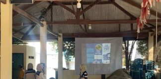 KKN FIK UMS Bawa Edukasi Diabetes ke Posyandu Lansia