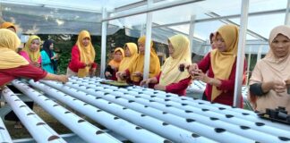 UMS Berdayakan Kelompok Wanita Tani Lewat Hidroponik