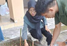 Mahasiswa UMJT Praktik Hortikultura, Siapkan Peluang Bisnis