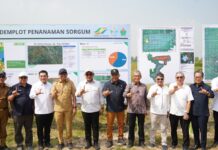 PTPN I (Persero): Dukung Penuh Percepatan Ketahanan Energi Nasional