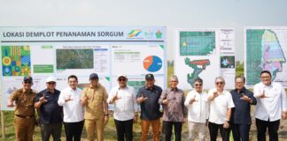 PTPN I (Persero): Dukung Penuh Percepatan Ketahanan Energi Nasional