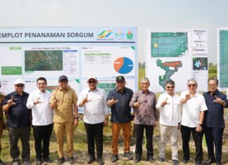 PTPN I (Persero): Dukung Penuh Percepatan Ketahanan Energi Nasional
