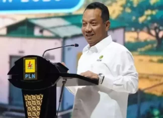 PLN Perkuat Kolaborasi dengan Berbagai Pihak, Percepat Implementasi Program Listrik Desa