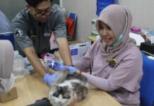 Antusiasme Pecinta Anabul Tinggi, Komunitas Kucing Muhammadiyah KucingMu Siap Perluas Layanan Animal Welfare