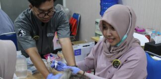 Antusiasme Pecinta Anabul Tinggi, Komunitas Kucing Muhammadiyah KucingMu Siap Perluas Layanan Animal Welfare