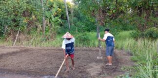 Astra Perkuat Desa Les Lewat Alam, Budaya, dan UMKM