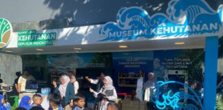 Siswa SD Muhammadiyah 24 Gajahan Belajar Cinta Hutan di Museum