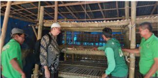 UMS Kembangkan Budidaya Jamur Merang Dukung Ketahanan Pangan