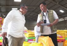 Tinjau Stok Beras di Papua, Dirut BULOG Pastikan Kualitas Beras Aman dan Terjaga hingga Penjuru Timur Indonesia