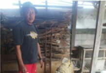 Pengabdian UMS Kembangkan Peternakan Kambing di Sragen