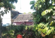 Lomba Ketapel di Kecamatan Pasarkliwon Seru, Sangkrah Raih Juara