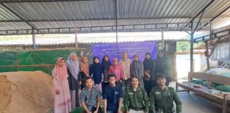 UMS Pangkas Pengeringan Jamur Kuping Jadi 4 Jam