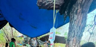 MDMC bersama Lazismu Perkuat Respons Gempa Flores, Buka Pos Pelayanan