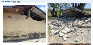 Gempa Flores, Kemendikdasmen Kirim 50 Tenda Darurat