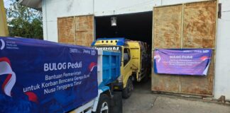 Kepala Bapanas dan Dirut BULOG Tinjau Langsung Penyaluran Bantuan Korban Gempa NTT
