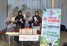 Kulit Jeruk hingga Cengkeh Disulap Jadi Pengusir Nyamuk