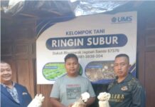 UMS Dorong Ketahanan Pangan Lewat Hidroponik dan Jamur Tiram