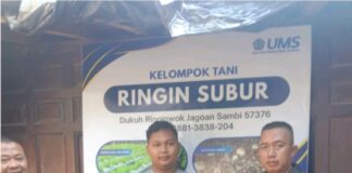 UMS Dorong Ketahanan Pangan Lewat Hidroponik dan Jamur Tiram