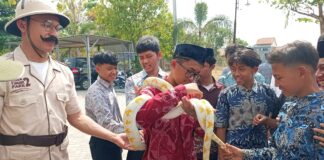 Jatim Park 2 Bawa Satwa ke MBS Prof Hamka Madiun, Santri Antusias